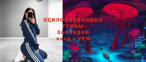 кокс Баксан