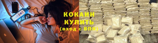 кокс Баксан