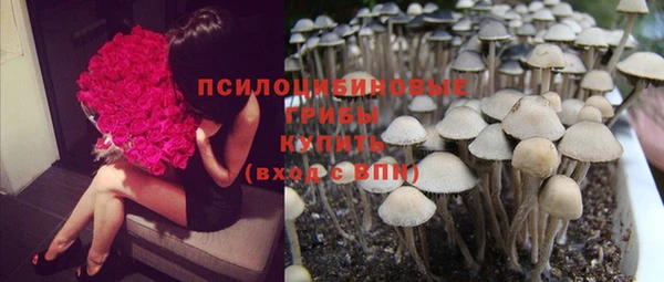 кокс Баксан