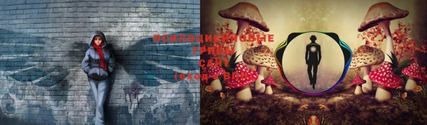 винт Балабаново
